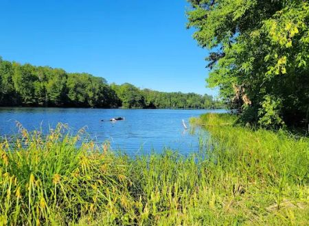 WE Energies Wilderness Shores Recreation Area #34