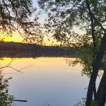 Pine River Flowage Boat Landing and Camp Sites (south end)