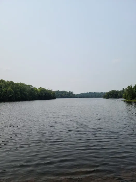 Pine River Flowage Boat Landing and Camp Sites (south end) Picture 6