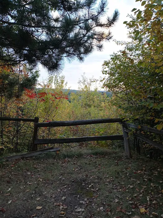 Camping In the Clouds/Mineshaft Bar & Grill Picture 4