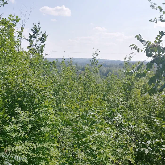 Camping In the Clouds/Mineshaft Bar & Grill Picture 1