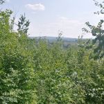 Camping In the Clouds/Mineshaft Bar & Grill