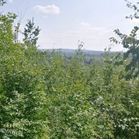 Camping In the Clouds/Mineshaft Bar & Grill ico