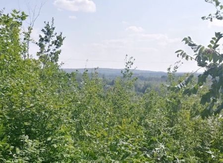 Camping In the Clouds/Mineshaft Bar & Grill