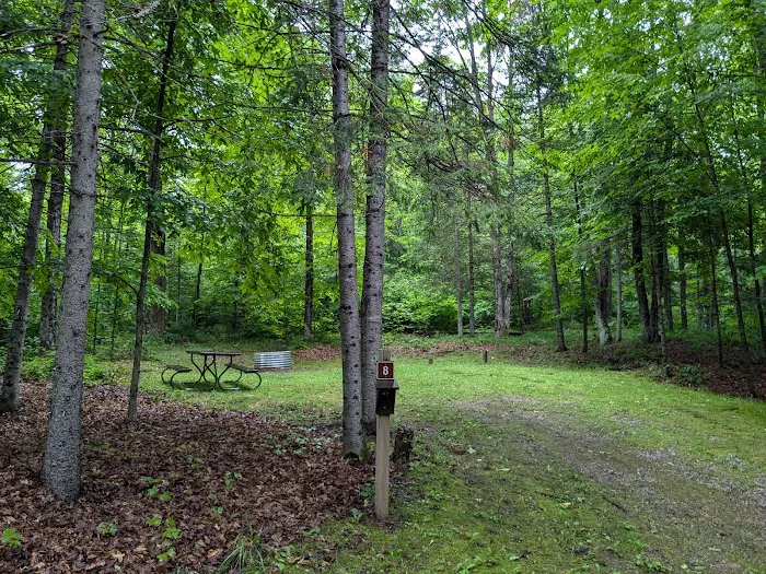 Genes Pond State Forest Campground Picture 2