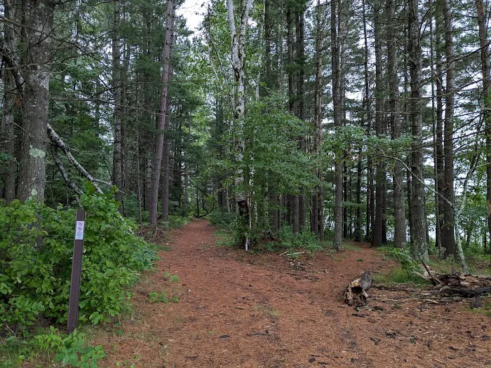 Genes Pond State Forest Campground Picture 4