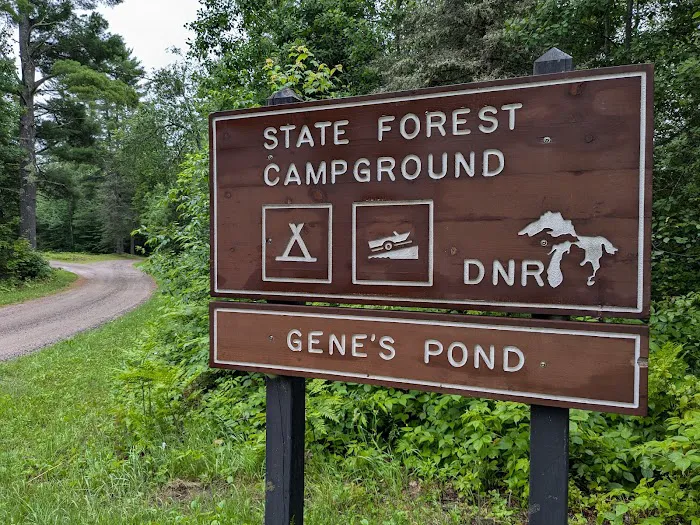 Genes Pond State Forest Campground Picture 8