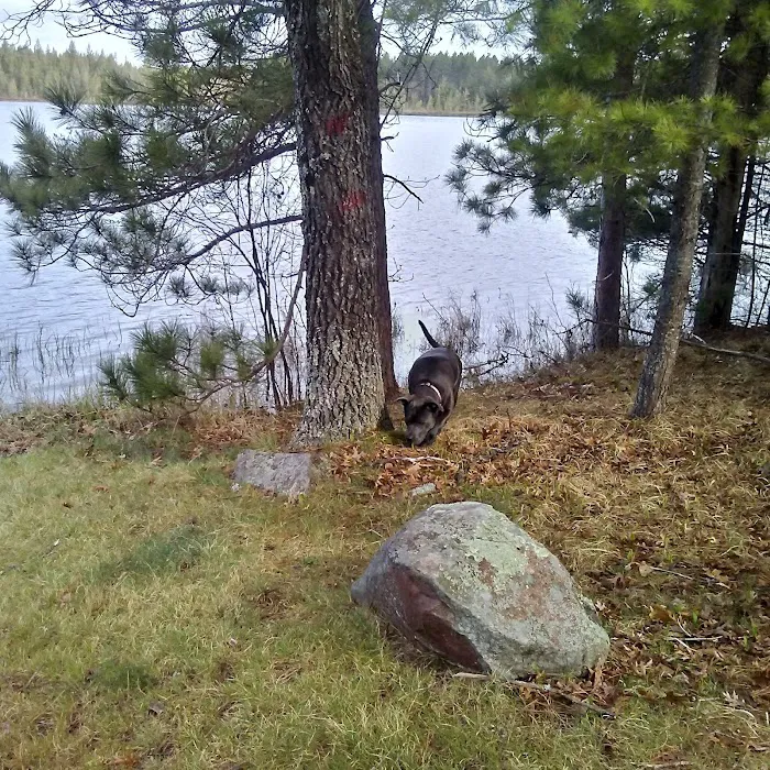 Glidden Lake State Forest Campground Picture 8