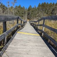 Glidden Lake State Forest Campground ico