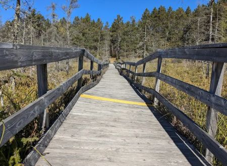 Glidden Lake State Forest Campground