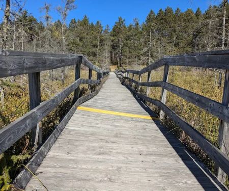 Glidden Lake State Forest Campground