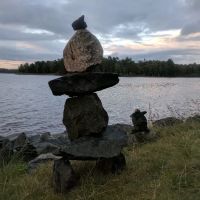 Wilderness Shores - WE Energies ico