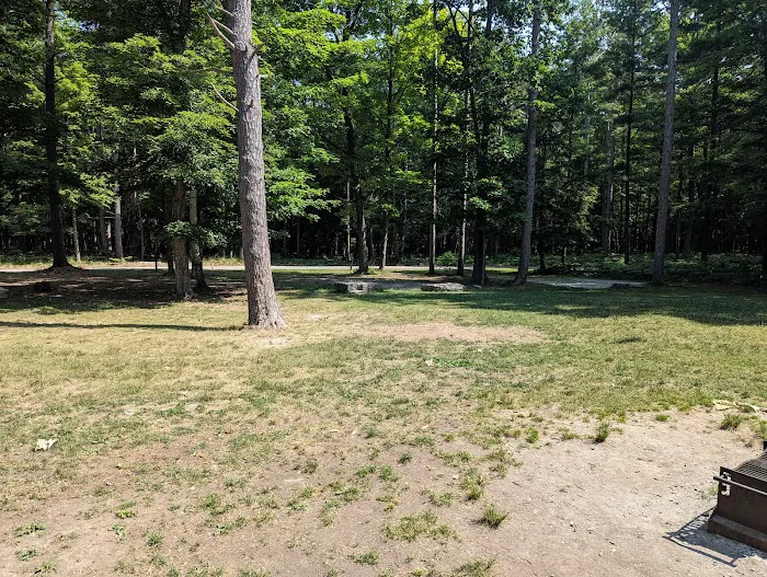 Group Campsite D Picture 2
