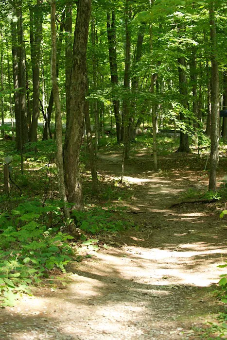 Tranquil Timbers Campground Picture 9