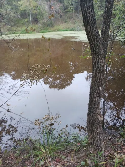 Rocky Ridge Resort LLC Picture 5