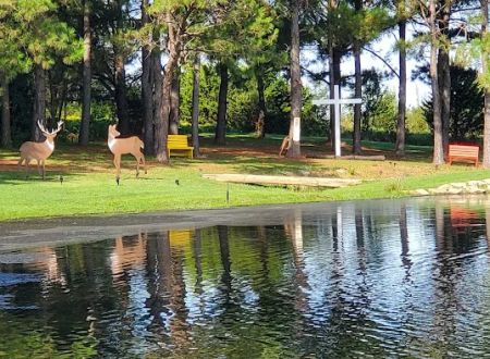 PINE Tree RV PARK