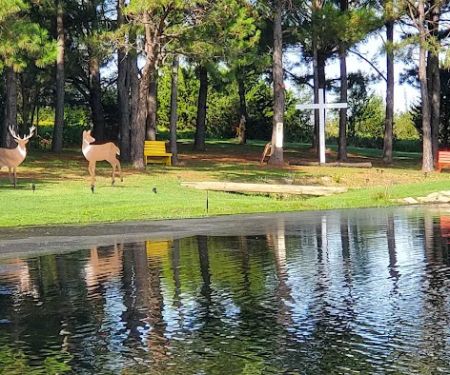 PINE Tree RV PARK