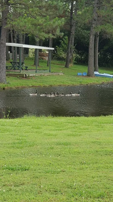 PINE Tree RV PARK Picture 9