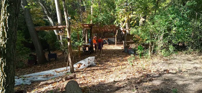 The Bear Den Picture 3