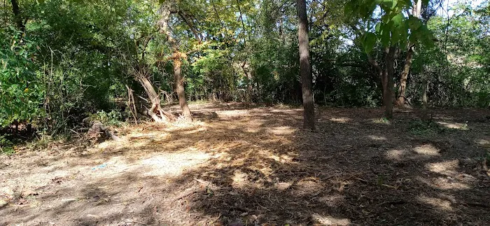 The Bear Den Picture 2