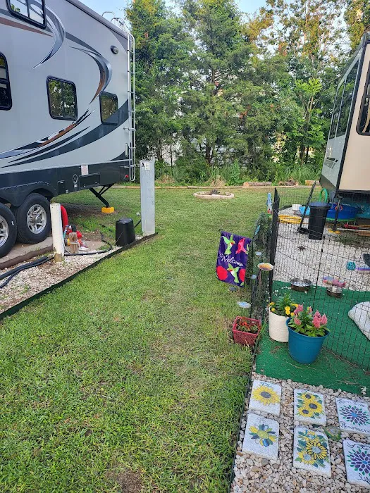 Live Oaks RV park A Picture 1