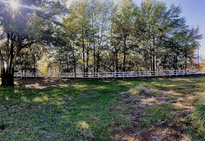 Live Oaks RV park A Picture 5