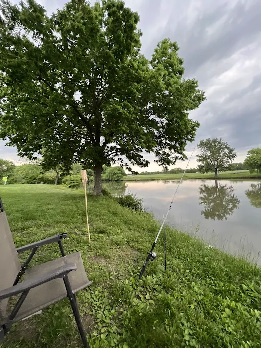 Town & Country Lakes Picture 4