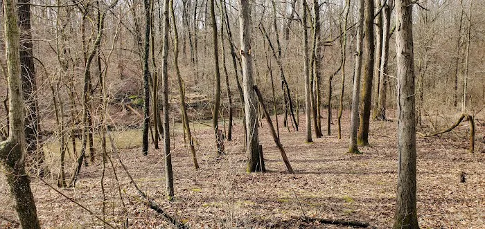 Camp Warren Levis Picture 10