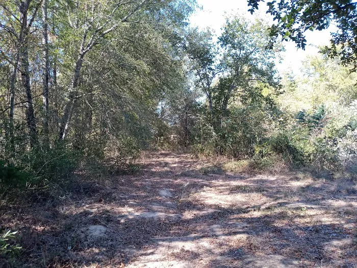 Eagle Nest Rv Park Picture 2