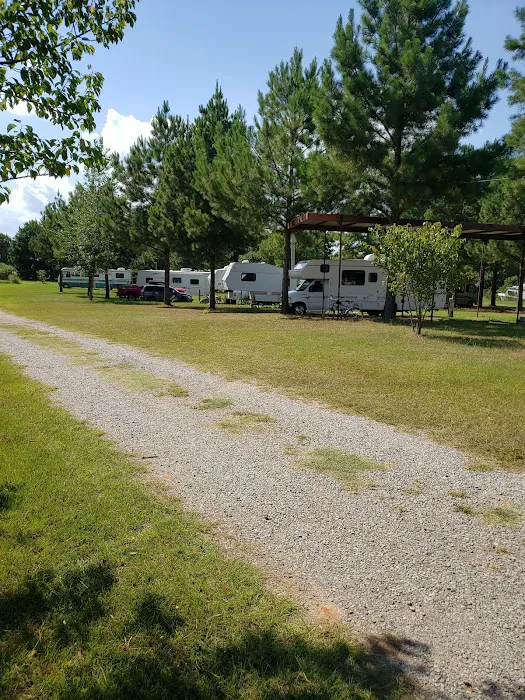 Dragon RV Picture 1