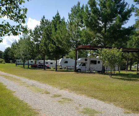 Dragon RV