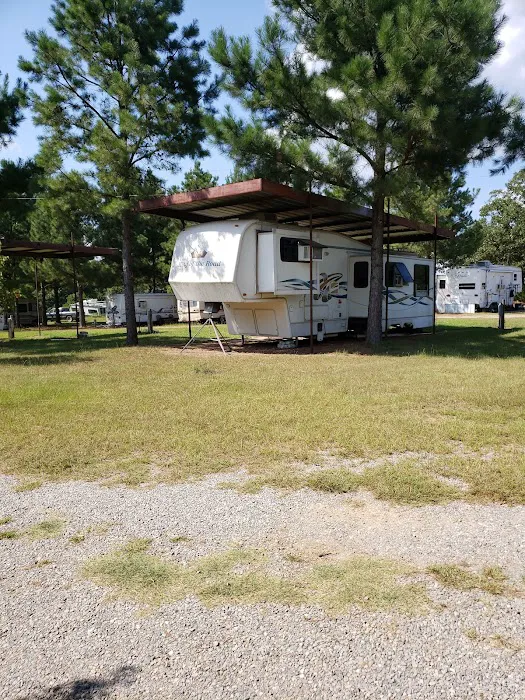 Dragon RV Picture 2