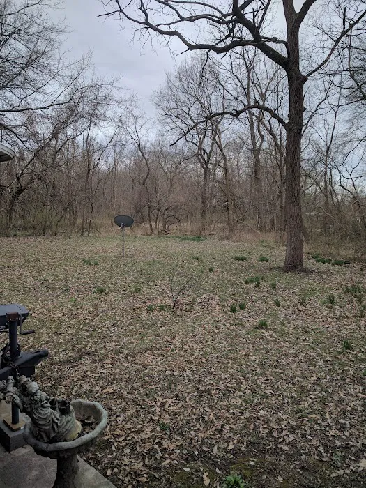 Cool Creek Resort Picture 1