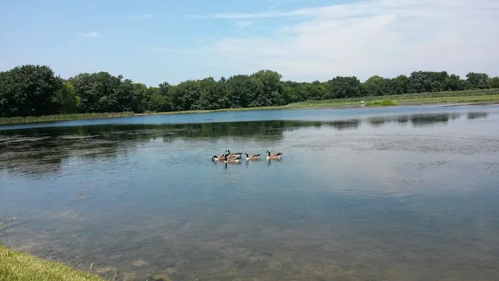 Cool Creek Resort Picture 7