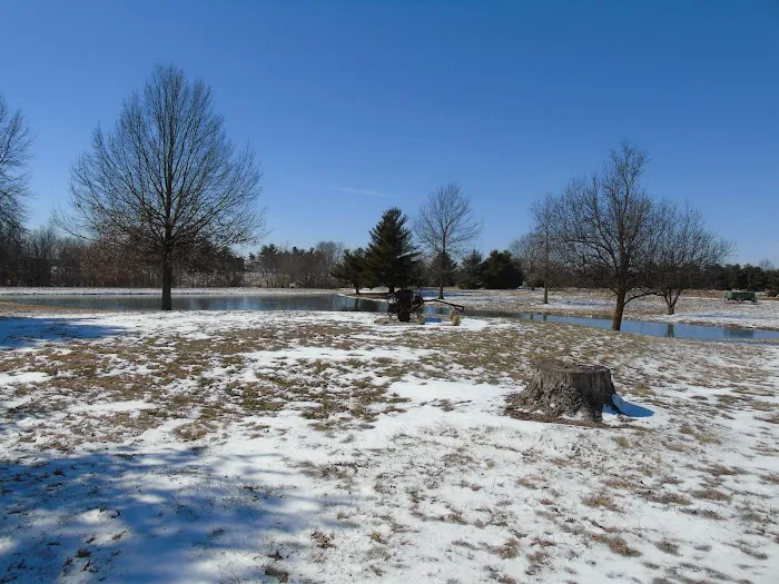 Cool Creek Resort Picture 9