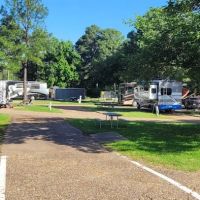 The Park at Texarkana ico