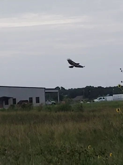 Texarkana USA RV Resort Picture 3