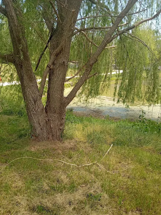 Tomahawk Campground Picture 7