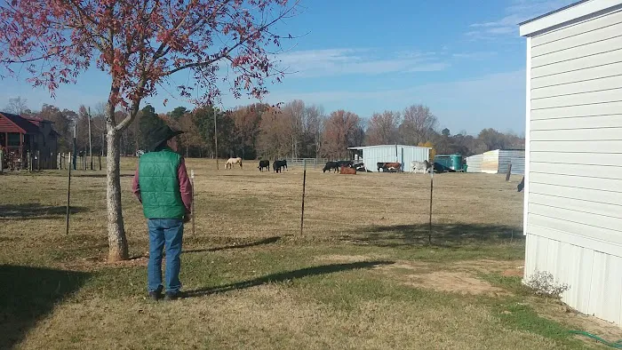 El Chaparral Mobile Home Park Picture 4