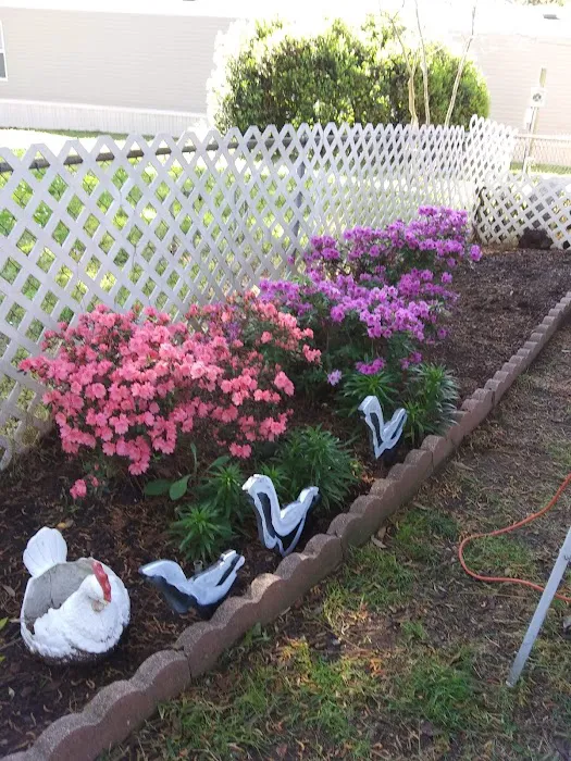 Ridgeview Mobile Home Village Picture 1