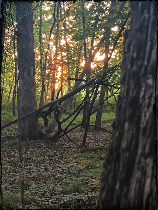 George Wyth State Park Campground Picture 4