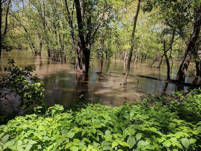 Cedar Bend Campground Picture 4