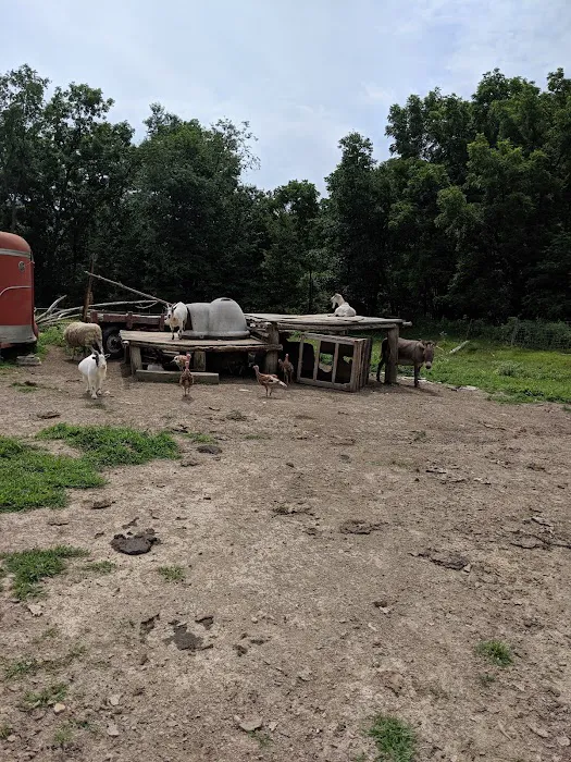 Shady Rest Acres Picture 2