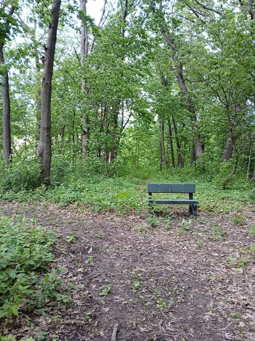 Forestry Department Picture 1