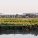 Goose Island Campground