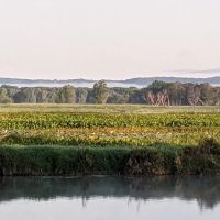 Goose Island Campground ico