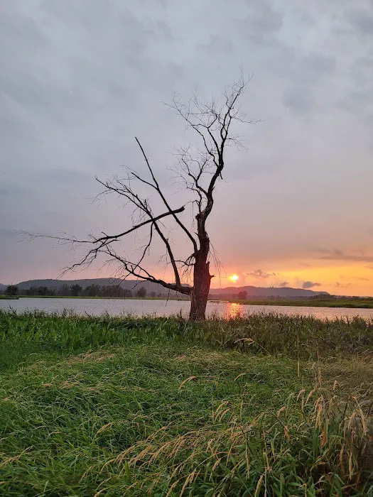 Goose Island Campground Picture 5