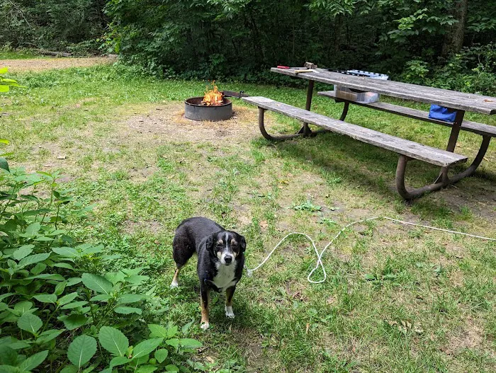 Beaver Creek Valley Campground Picture 5