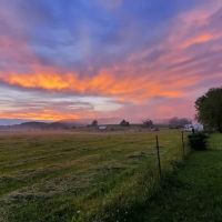 Hutchinson Family Farms ico