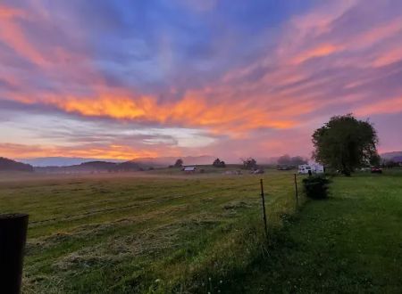 Hutchinson Family Farms